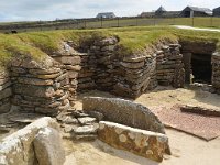 SCO, Orkney, Sandwick, Skara Brae 6, Saxifraga-David Foubister