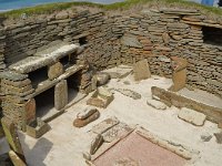 SCO, Orkney, Sandwick, Skara Brae 7, Saxifraga-David Foubister