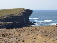 SCO, Orkney, Sandwick, Yesnaby 3, Saxifraga-David Foubister