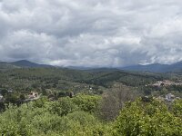 E, Avila, Arenas de San Pedro 10, Saxifraga-Willem van Kruijsbergen