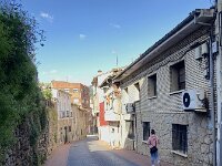E, Avila, Arenas de San Pedro 14, Saxifraga-Willem van Kruijsbergen