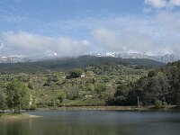 E, Avila, Arenas de San Pedro 3, Saxifraga-Willem van Kruijsbergen