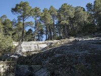 E, Avila, El Hornillo, Arroyo de las Alforzas 4, Saxifraga-Willem van Kruijsbergen