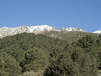 E, Avila, Guisando, Nogal del Barranco 1, Saxifraga-Willem van Kruijsbergen