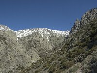 E, Avila, Guisando, Nogal del Barranco 17, Saxifraga-Willem van Kruijsbergen