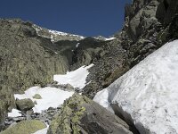 E, Avila, Guisando, Nogal del Barranco 31, Saxifraga-Willem van Kruijsbergen