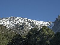 E, Avila, Guisando, Nogal del Barranco 4, Saxifraga-Willem van Kruijsbergen