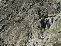 E, Avila, Guisando, Nogal del Barranco 41, Saxifraga-Willem van Kruijsbergen