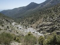 E, Avila, Guisando, Nogal del Barranco 42, Saxifraga-Willem van Kruijsbergen