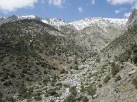 E, Avila, Guisando, Nogal del Barranco 44, Saxifraga-Willem van Kruijsbergen