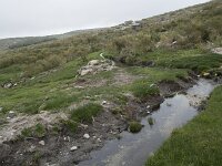 E, Avila, Hoyos del Espino 16, Saxifraga-Willem van Kruijsbergen