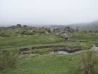 E, Avila, Hoyos del Espino 17, Saxifraga-Willem van Kruijsbergen