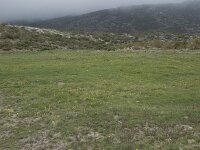 E, Avila, Hoyos del Espino 7, Saxifraga-Willem van Kruijsbergen
