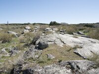 E, Avila, Navarradonda de Gredos 14, Saxifraga-Willem van Kruijsbergen