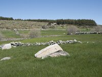 E, Avila, Navarradonda de Gredos 17, Saxifraga-Willem van Kruijsbergen