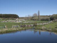E, Avila, Navarradonda de Gredos 20, Saxifraga-Willem van Kruijsbergen