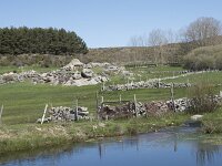 E, Avila, Navarradonda de Gredos 21, Saxifraga-Willem van Kruijsbergen