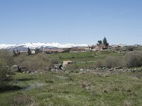 E, Avila, Navarradonda de Gredos 23, Saxifraga-Willem van Kruijsbergen