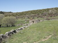 E, Avila, Navarradonda de Gredos 27, Saxifraga-Willem van Kruijsbergen