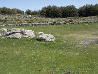 E, Avila, Navarradonda de Gredos 45, Saxifraga-Willem van Kruijsbergen