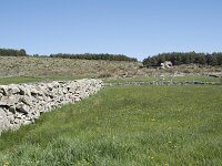 Navarredonda