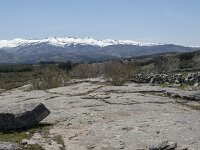 E, Avila, Navarradonda de Gredos 52, Saxifraga-Willem van Kruijsbergen