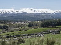 E, Avila, Navarradonda de Gredos 54, Saxifraga-Willem van Kruijsbergen