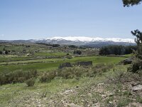 E, Avila, Navarradonda de Gredos 57, Saxifraga-Willem van Kruijsbergen