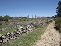 E, Avila, Navarradonda de Gredos 65, Saxifraga-Willem van Kruijsbergen
