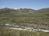 E, Avila, San Juan de Gredos, Rio Barbellido 10, Saxifraga-Willem van Kruijsbergen