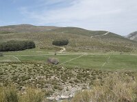 E, Avila, San Juan de Gredos, Rio Barbellido 11, Saxifraga-Willem van Kruijsbergen