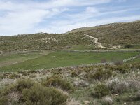 E, Avila, San Juan de Gredos, Rio Barbellido 2, Saxifraga-Willem van Kruijsbergen