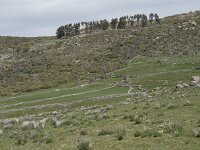 E, Avila, San Juan de Gredos, Rio Barbellido 25, Saxifraga-Willem van Kruijsbergen