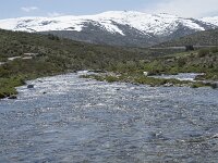 E, Avila, San Juan de Gredos, Rio Barbellido 28, Saxifraga-Willem van Kruijsbergen