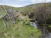 E, Avila, San Juan de Gredos, Rio Barbellido 3, Saxifraga-Willem van Kruijsbergen