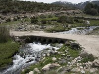 E, Avila, San Juan de Gredos, Rio Barbellido 34, Saxifraga-Willem van Kruijsbergen