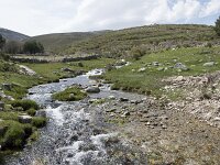 E, Avila, San Juan de Gredos, Rio Barbellido 36, Saxifraga-Willem van Kruijsbergen