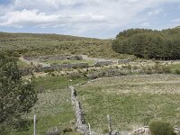 E, Avila, San Juan de Gredos, Rio Barbellido 38, Saxifraga-Willem van Kruijsbergen