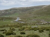 E, Avila, San Juan de Gredos, Rio Barbellido 39, Saxifraga-Willem van Kruijsbergen