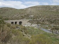 E, Avila, San Juan de Gredos, Rio Barbellido 41, Saxifraga-Willem van Kruijsbergen
