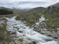 E, Avila, San Juan de Gredos, Rio Barbellido 44, Saxifraga-Willem van Kruijsbergen