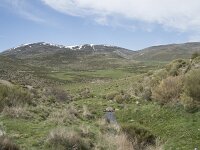 E, Avila, San Juan de Gredos, Rio Barbellido 7, Saxifraga-Willem van Kruijsbergen