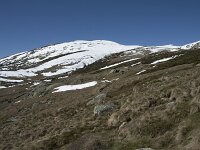 E, Avila, San Juan de Gredos, Senda de la Laguna Grande 10, Saxifraga-Willem van Kruijsbergen
