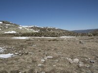 E, Avila, San Juan de Gredos, Senda de la Laguna Grande 22, Saxifraga-Willem van Kruijsbergen
