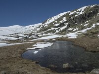 E, Avila, San Juan de Gredos, Senda de la Laguna Grande 26, Saxifraga-Willem van Kruijsbergen