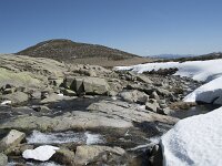 E, Avila, San Juan de Gredos, Senda de la Laguna Grande 28, Saxifraga-Willem van Kruijsbergen