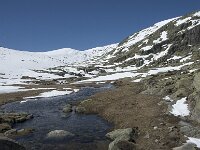E, Avila, San Juan de Gredos, Senda de la Laguna Grande 29, Saxifraga-Willem van Kruijsbergen