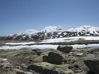 E, Avila, San Juan de Gredos, Senda de la Laguna Grande 31, Saxifraga-Willem van Kruijsbergen