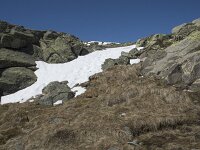 E, Avila, San Juan de Gredos, Senda de la Laguna Grande 32, Saxifraga-Willem van Kruijsbergen