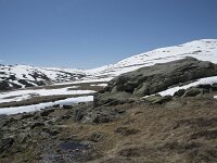 E, Avila, San Juan de Gredos, Senda de la Laguna Grande 33, Saxifraga-Willem van Kruijsbergen